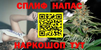 гашик Будённовск