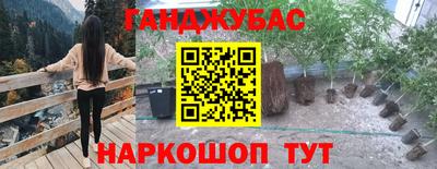 гашик Будённовск