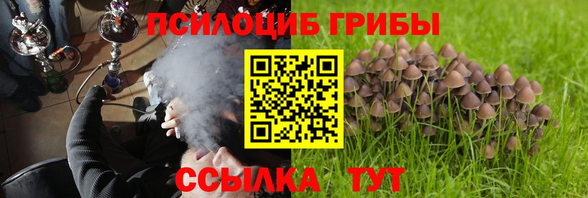Псилоцибиновые грибы GOLDEN TEACHER Рубцовск