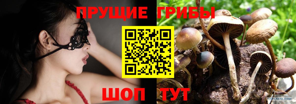Рубцовск  цены наркотик  Вход с VPN  Псилоцибиновые грибы Cubensis 