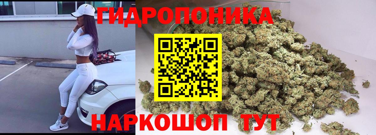 Бошки Шишки план  Бошки Шишки планчик  Шишки марихуана планчик  Рубцовск  Вход с VPN  Бошки Шишки OG Kush 